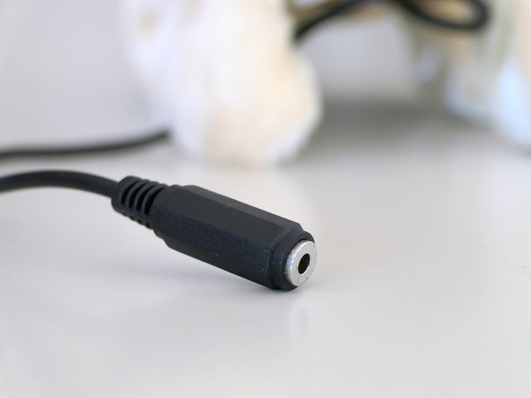 Adaptiertes Spielzeug - Lucy der Hund