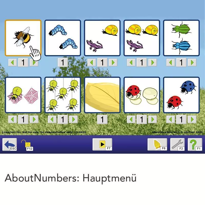 AboutNumbers AAC/ Einzelplatzlizenz