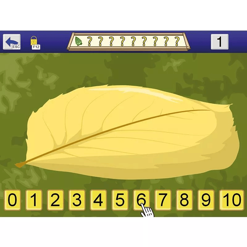 AboutNumbers AAC/ Einzelplatzlizenz