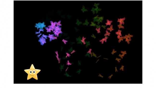 Look to Learn - Complete