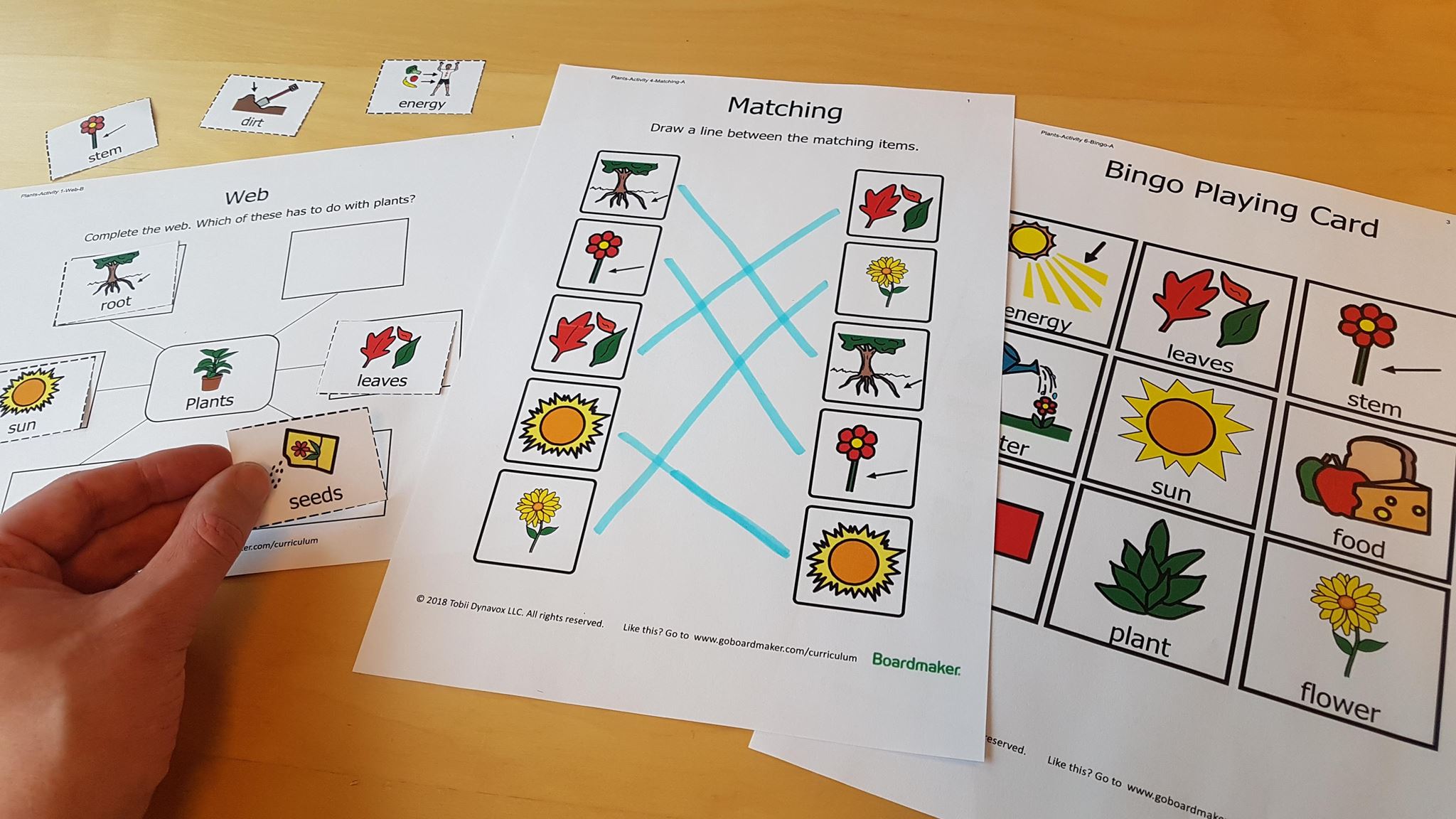 Boardmaker 7 Single-user License