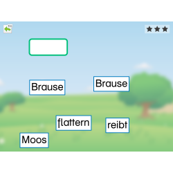 Erfolgreich Lesen / Einzelplatzlizenz