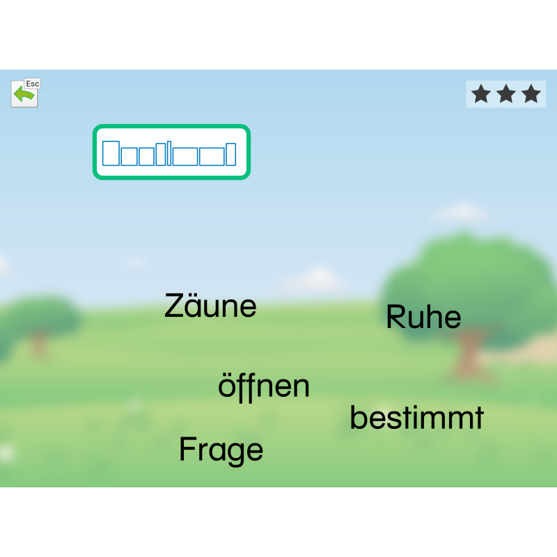Erfolgreich Lesen / Mehrplatzlizenz- Zusatzlizenz