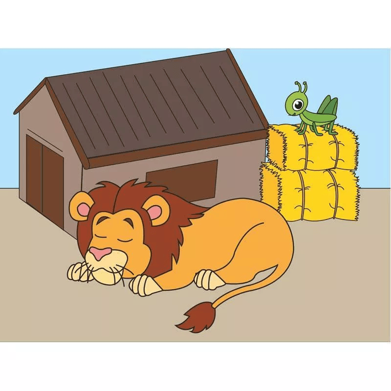 HokusPokus / Einzelplatzlizenz