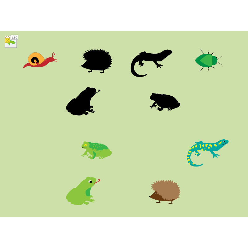 PreNumbers / Mehrplatzlizenz-Zusatzlizenz