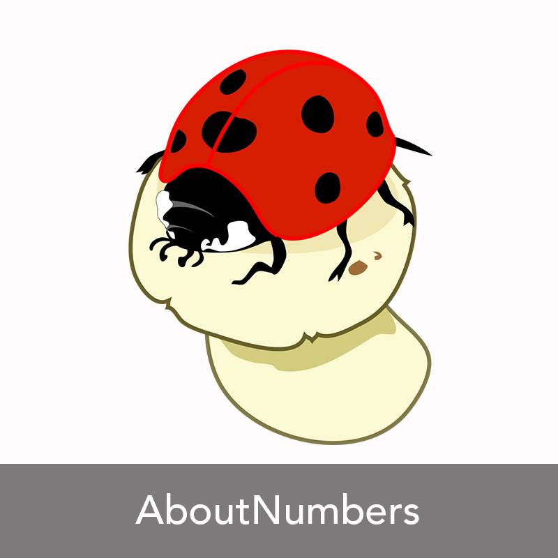 AboutNumbers AAC/ Mehrplatzlizenz - Zusatzlizenz