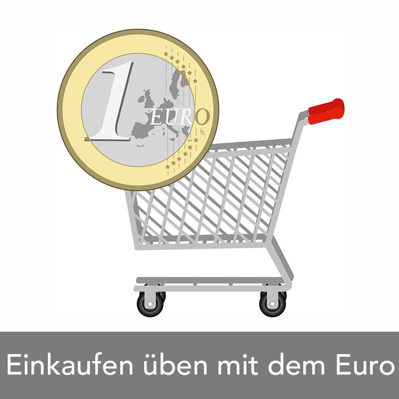 Einkaufen mit dem Euro / Mehrplatzlizenz - Zusatzlizenz