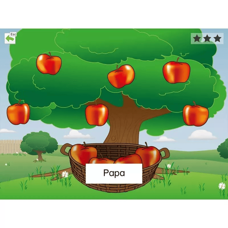 FlashWords AAC / Einzelplatzlizenz