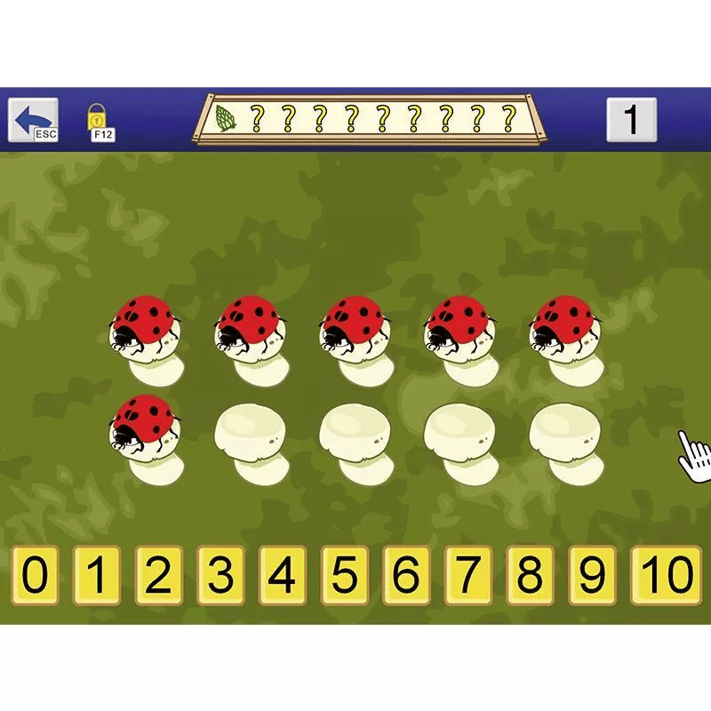 AboutNumbers AAC/ Mehrplatzlizenz