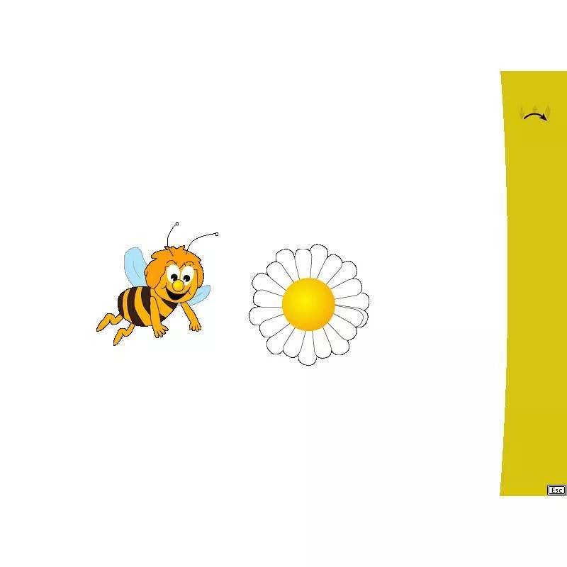 CatchMe 2.0 / Mehrplatzlizenz - Zusatzlizenzen